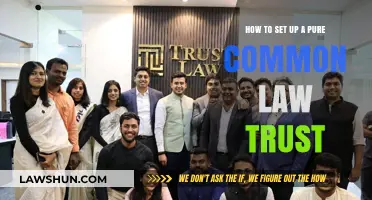 Establishing a Pure Common Law Trust: Steps to Success