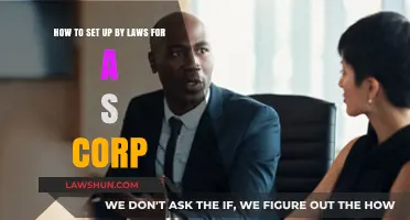 Crafting S Corp Bylaws: A Step-by-Step Guide for Business Owners