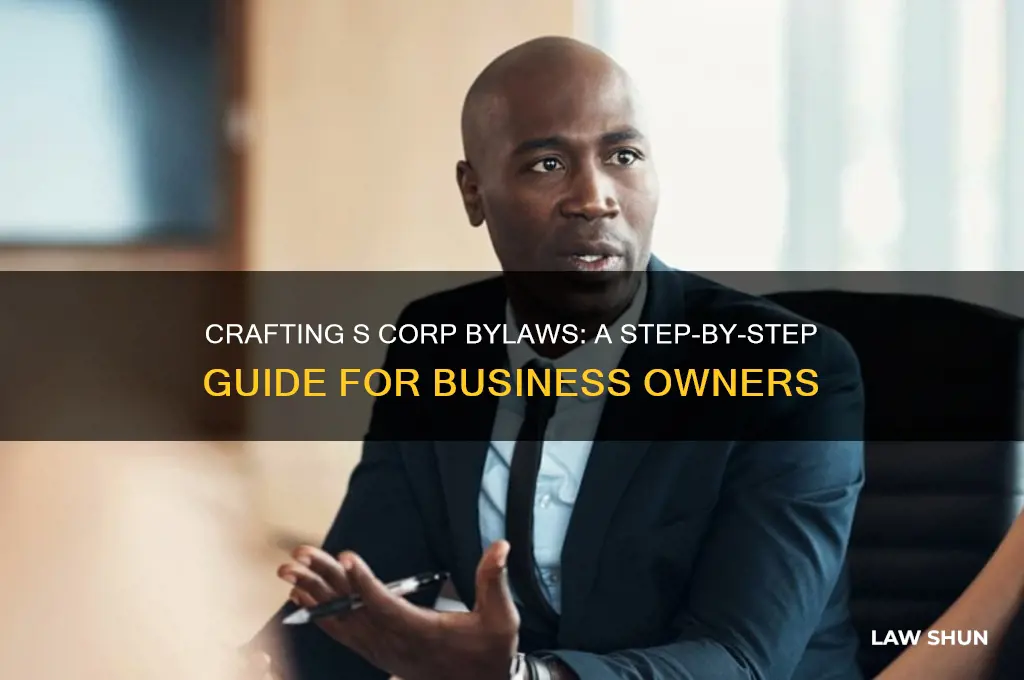 how to set up by laws for a s corp