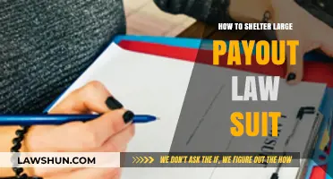 Protecting Your Wealth: Strategies to Safeguard Against Large Payout Lawsuits