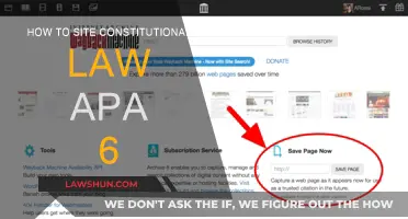 Citing Constitutional Law: APA 6 Style Guide