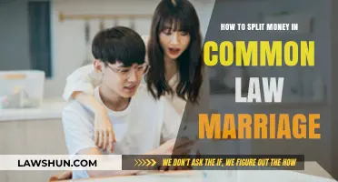 Dividing Finances in Common Law Marriage