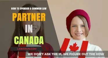 Sponsoring Your Common-Law Partner for Canadian Immigration
