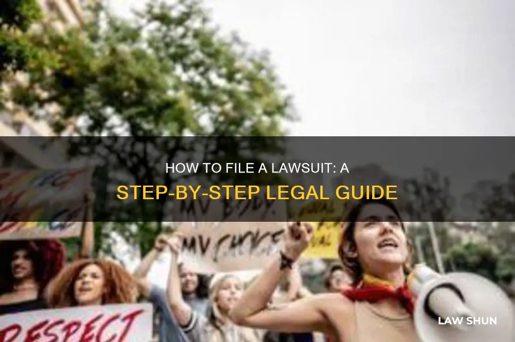 how to start a law suit