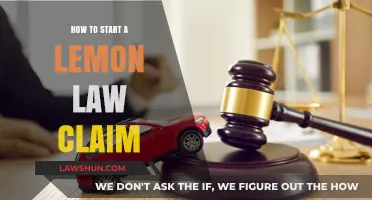 Navigating Lemon Law Claims: A Step-by-Step Guide to Starting Your Case