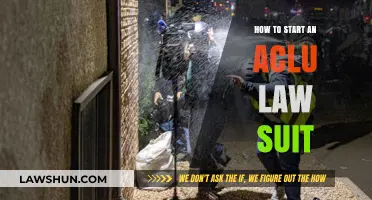 Filing an ACLU Lawsuit: Essential Steps to Protect Civil Liberties