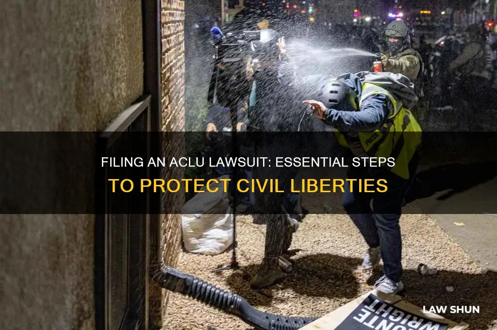 how to start an aclu law suit