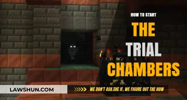 Exploring the Path to Trial Chambers: A Beginner's Guide