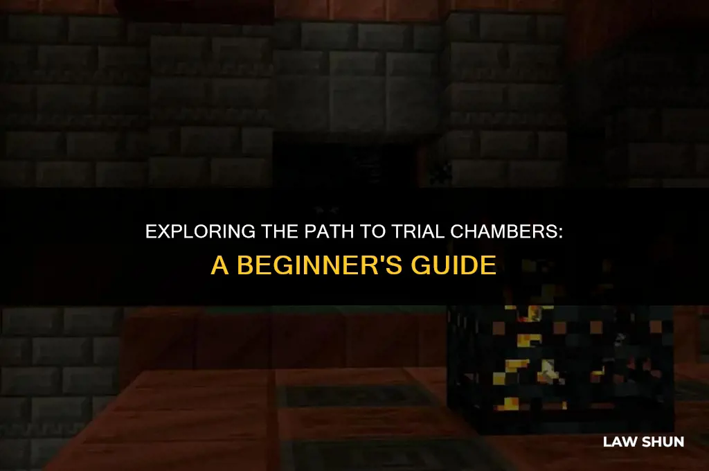 how to start the trial chambers