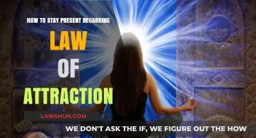 Mastering Mindfulness: Aligning with the Law of Attraction Daily
