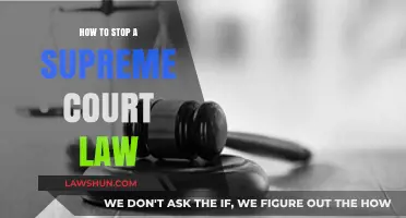 Challenging Supreme Court Rulings: Strategies to Halt Unjust Laws