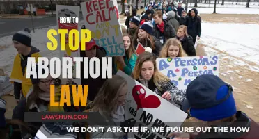 Stopping Abortion Law: A Fight for the Unborn