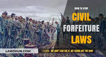 Ending Civil Forfeiture: Strategies to Protect Property Rights and Justice