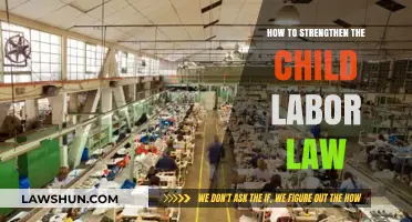 Strengthening Child Labor Laws: Protecting Young Workers' Rights and Future
