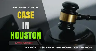 Civil Law Submission: Houston's Guide