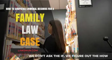 Subpoenaing Criminal Records: A Guide for Family Law Cases