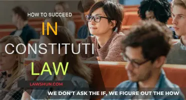 Mastering Constitutional Law: Strategies for Success