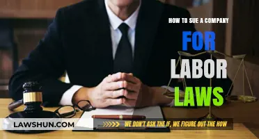 Sue Your Employer: A Step-by-Step Guide to Labor Law Violations