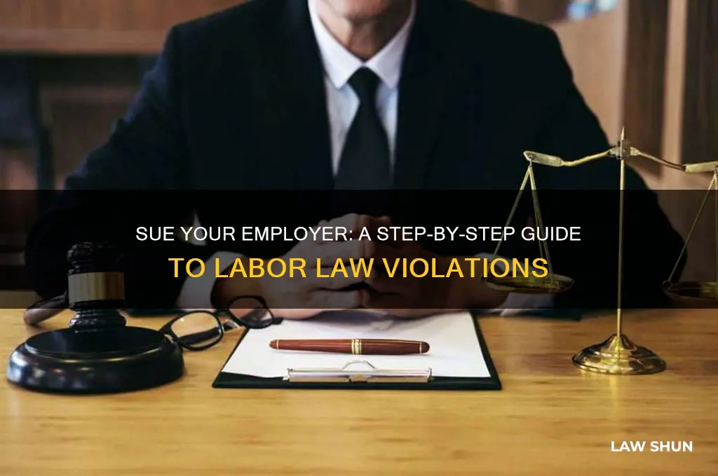 how to sue a company for labor laws