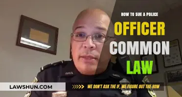 Suing Police Officers: Your Common Law Rights