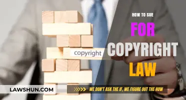 Sue for Copyright Infringement: A Step-by-Step Legal Guide