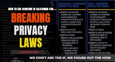 Suing for Privacy Violations: California Lawsuit Guide