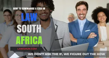 Summarizing South African Law Cases: A Practical Guide