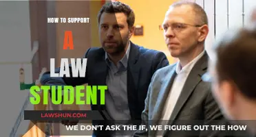 Empowering Future Lawyers: Practical Ways to Support a Law Student