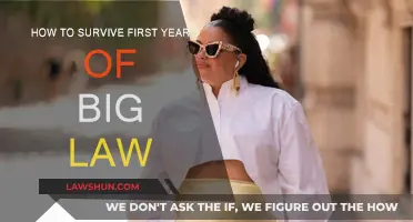 Surviving Big Law: A First-Year Associate's Guide