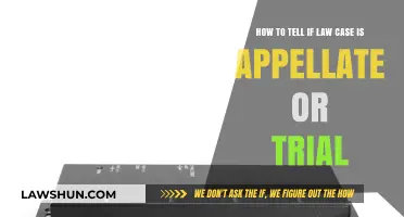 Appellate or Trial: What's Your Case?