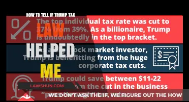 Trump Tax Law: Did I Benefit?