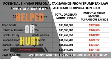 Trump's Tax Law: Winners and Losers