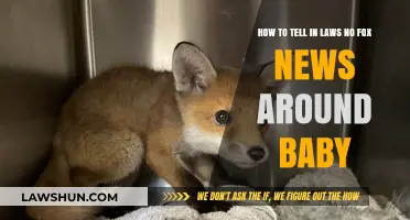Setting Boundaries: How to Keep Fox News Away from Your Baby