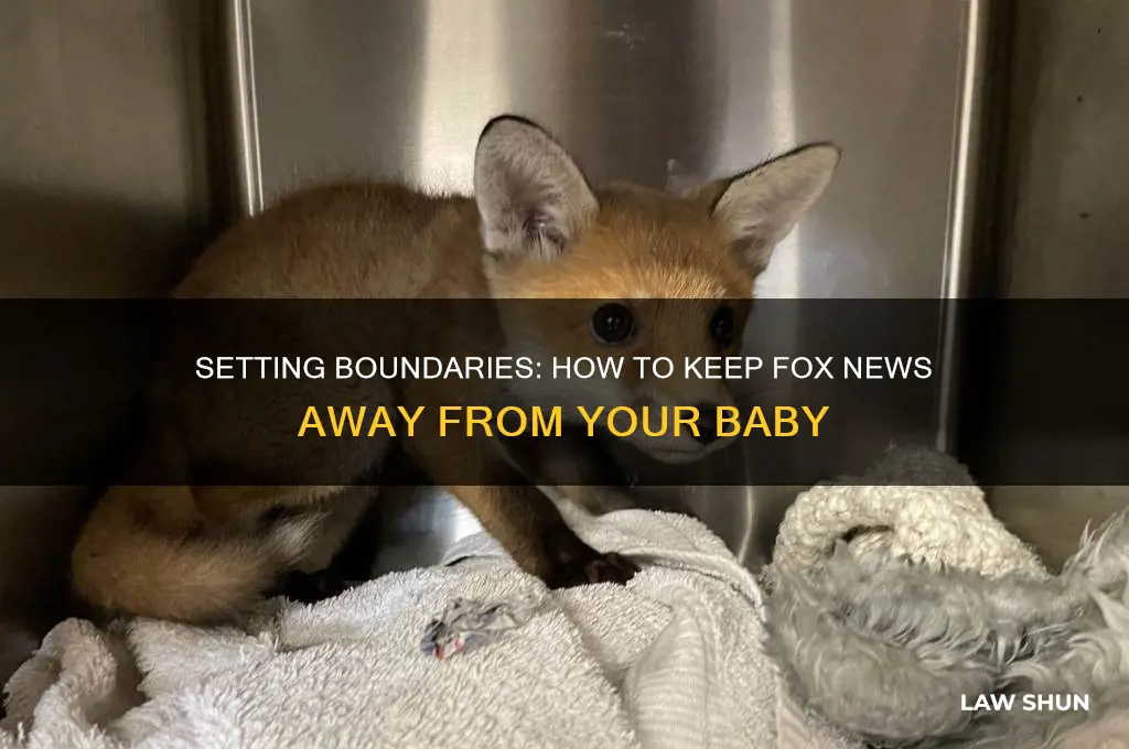 how to tell in laws no fox news around baby