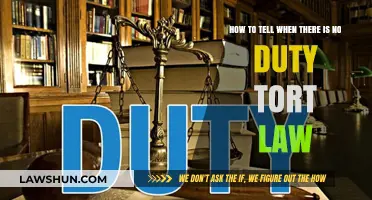 Identifying Absence of Duty in Tort Law: Key Indicators Explained