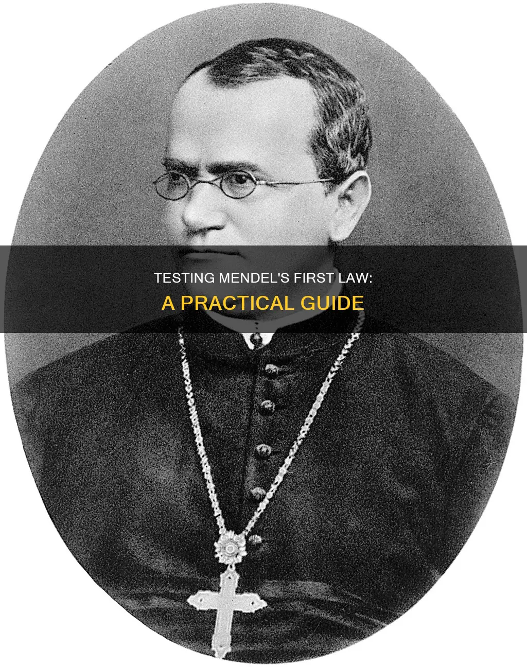 how to test mendel
