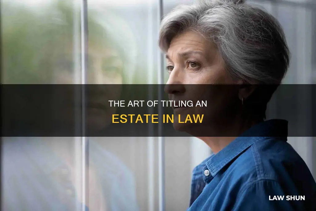 how to title estate in law case