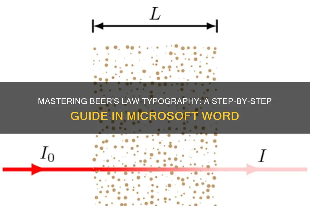 how to type beer