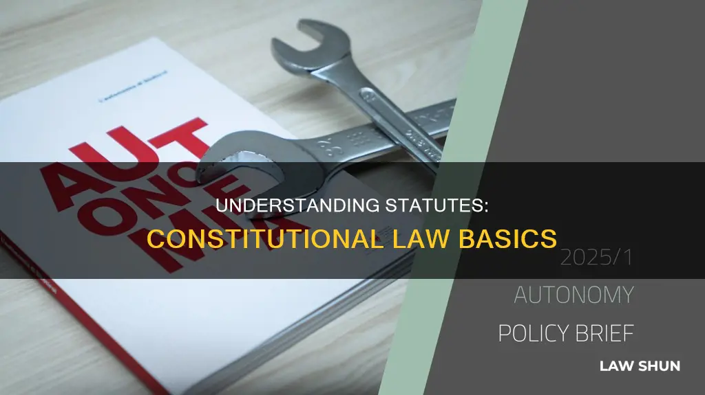 how to understand a statute constitutional law