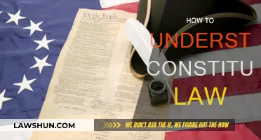 Understanding Constitutional Law: A Beginner's Guide