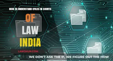 Understanding India's Court E-Filing System