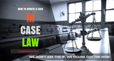 Updating Case Law: A Guide to Amending Decisions