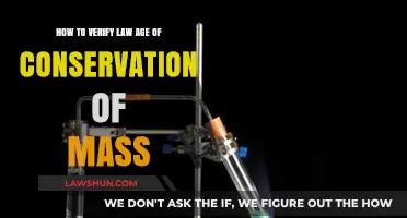 Proving the Timeless Law: Verifying the Conservation of Mass Principle