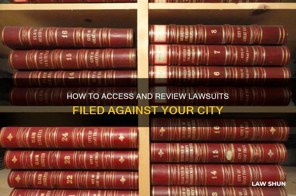 how to view law suits against acity