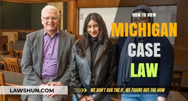 Michigan Case Law: A Guide to Accessing Court Decisions