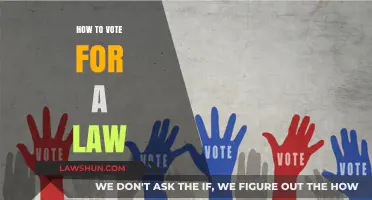 Mastering the Process: How to Vote for a Law Effectively