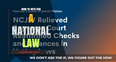 Mastering the Process: How to Vote for National Laws Effectively
