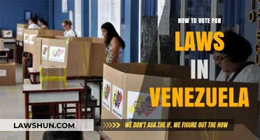 Understanding Venezuela's Legal Voting Process: A Comprehensive Guide for Citizens