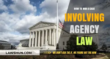 Agency Law: Strategies for Winning Your Case