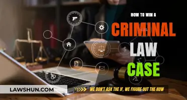 Criminal Defense Strategies: Winning Your Case